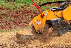 Best Tree Removal  in Jefferson, GA