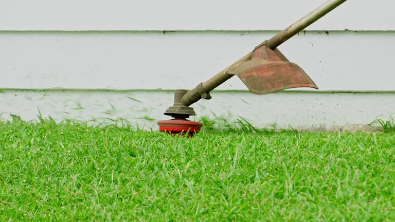 Best Tree Maintenance Programs  in Jefferson, GA